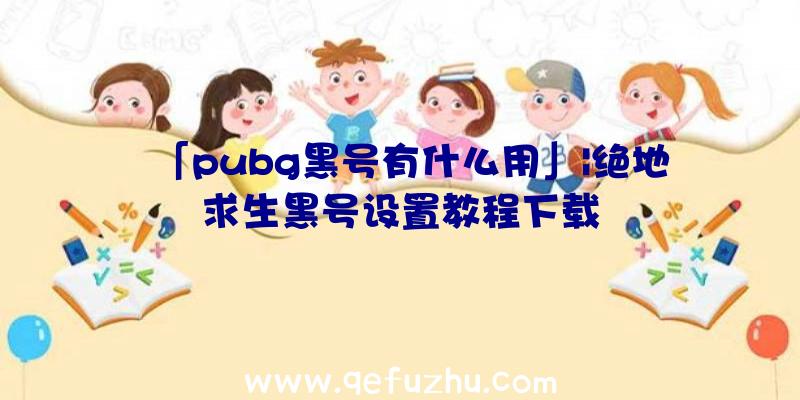 「pubg黑号有什么用」|绝地求生黑号设置教程下载